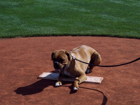 Batter Up