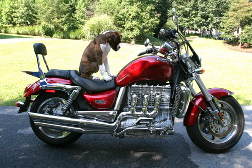 Bax Rider