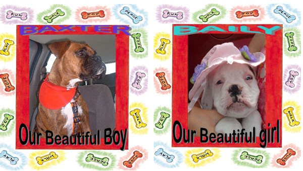 Baxter & Baily