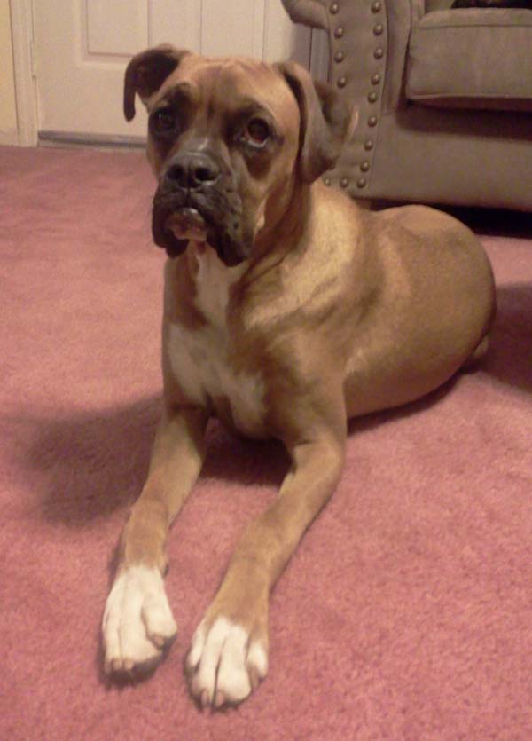 Baxter being sweet