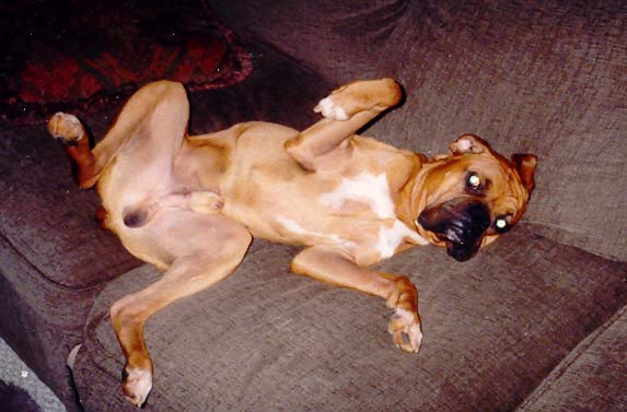 Baxter