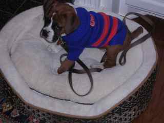 Baxter