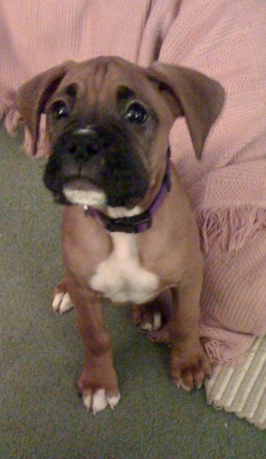 baxter5