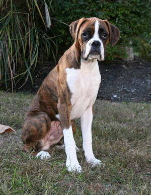 Baxter6mo