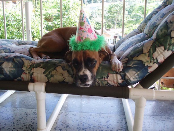 bday5