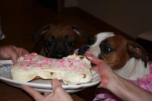 Bday_3