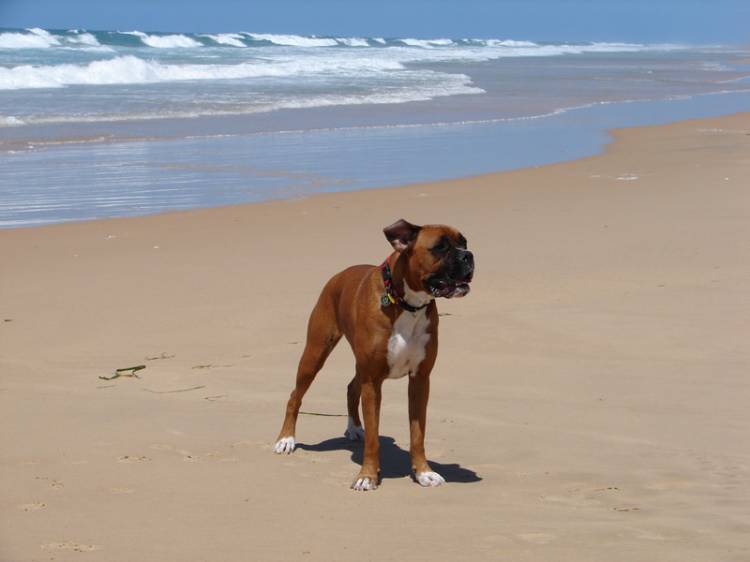 Beach Babe!!