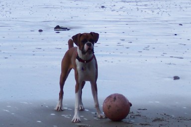 Beach Fun
