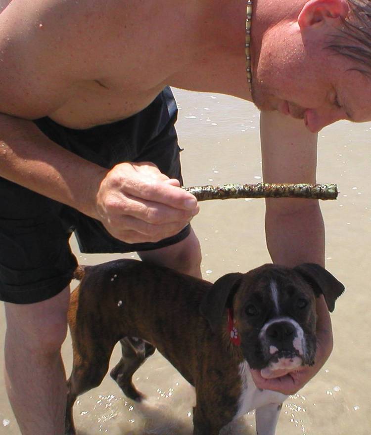 Beach fun