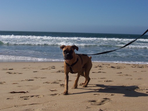 Beach Pic