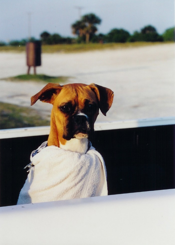 Beach Towel Babe