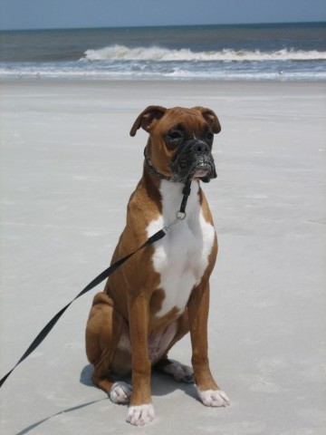 beach