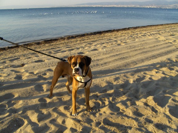 beach