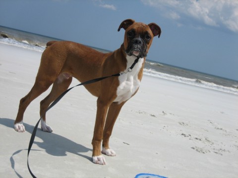 beach2