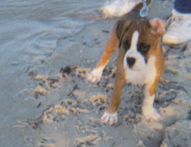beach2_edited