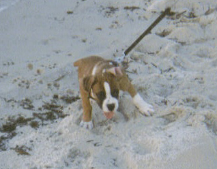 beach_edited