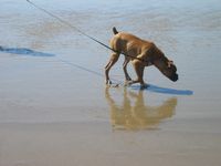 beachtime
