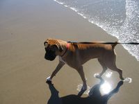 beachtime3