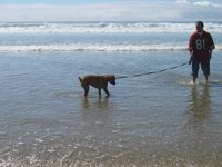 beachtime4