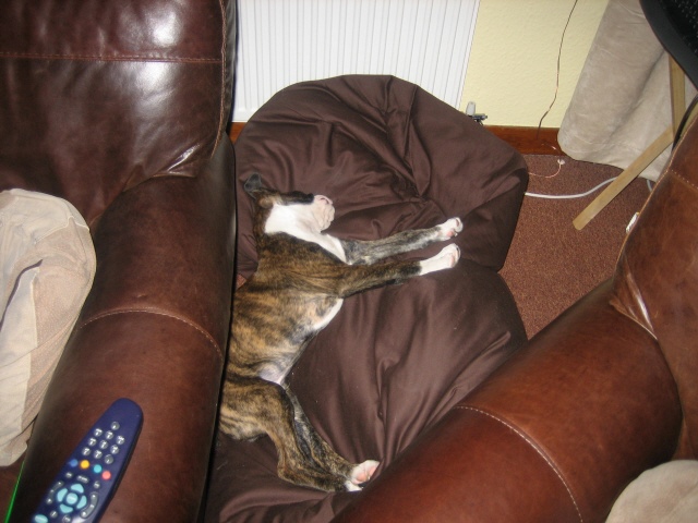 bean bags are great