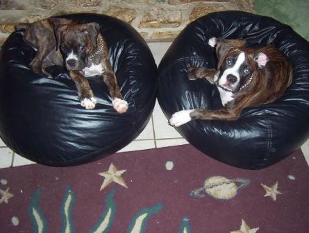 Bean bags rock!