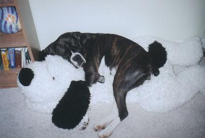 Beanie finds true love