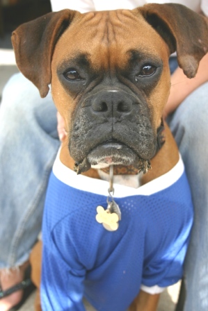 Beasley's Game Face