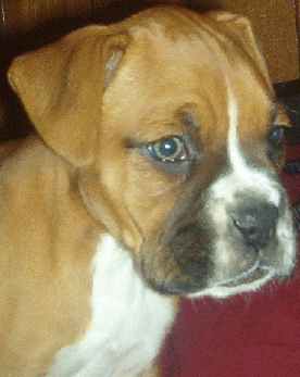 Beau 6 weeks