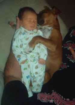 Beau & Bryson