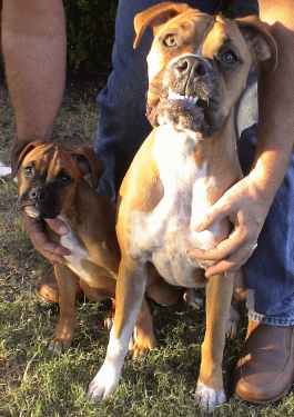 Beau & DaeZee