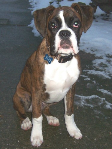 Beau from Ontario