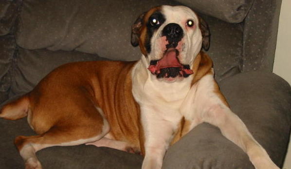 Beau talking