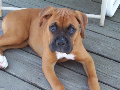 Beautiful Baby