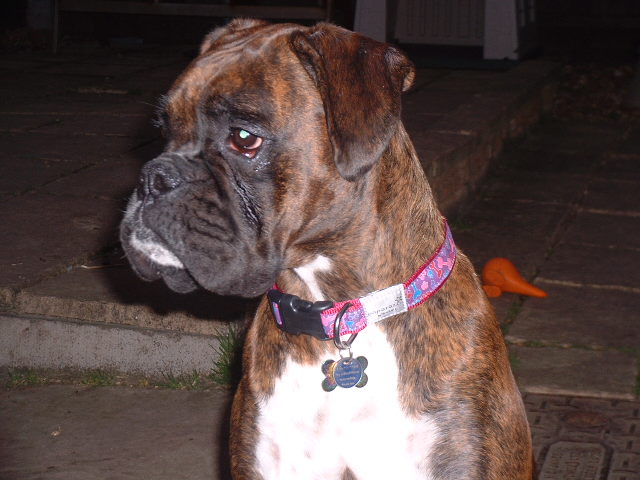 Beautiful Lola