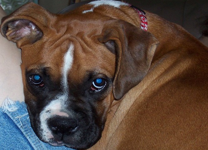 Beautiful_Riley