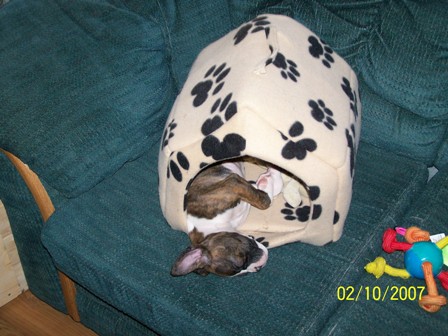 beauty_sleep