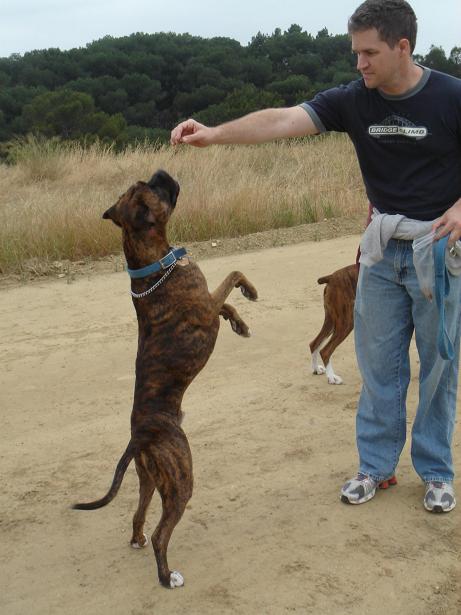 BeBop Jumping