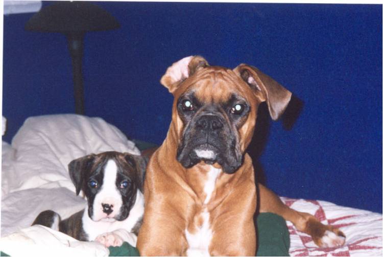 Bed buddies
