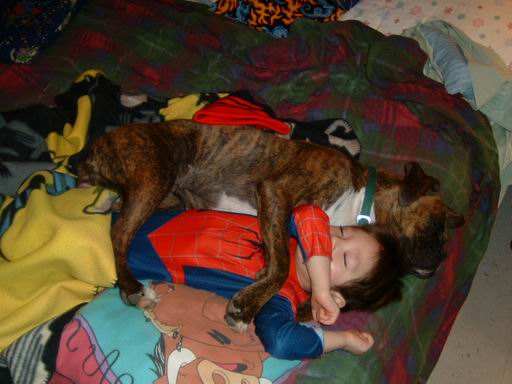 bed buddies