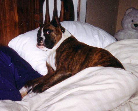 Bed Time
