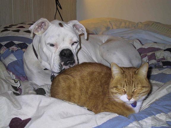 Bed Time