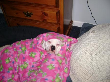 bed time!
