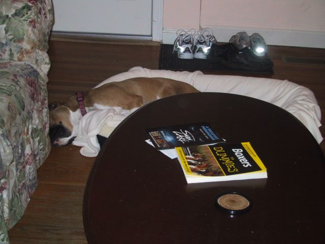 Bed too small