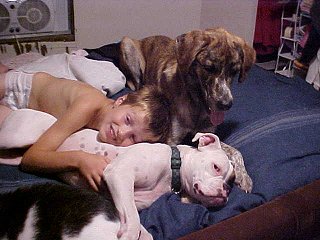 Bedtime 7-27-05