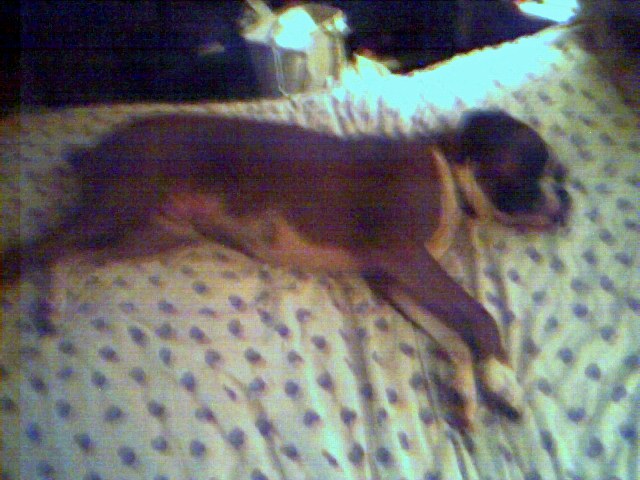 bedtime