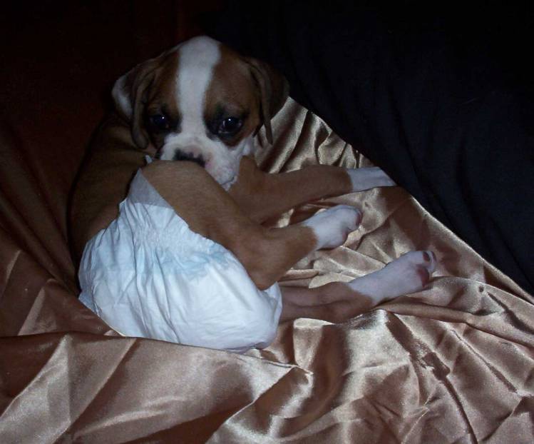 bedtime