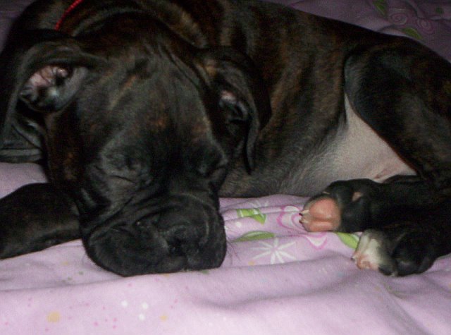 Bedtime!