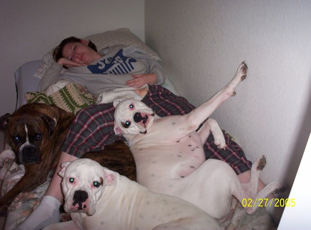 Bedtime