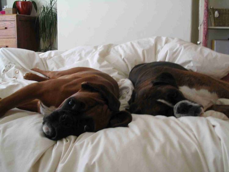 Bedtime