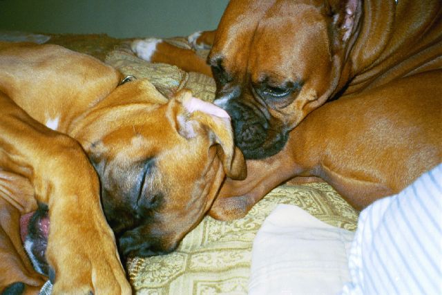 Bedtime